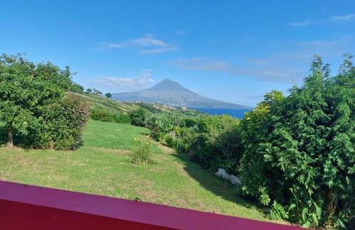 Casa Farrobo - Foto 20