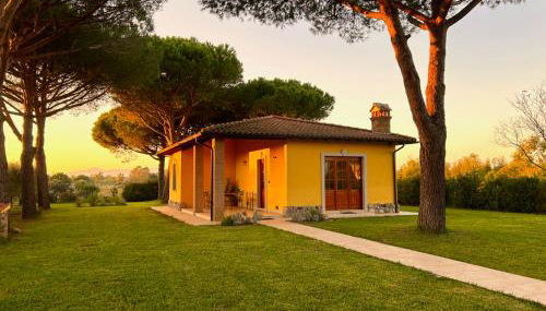 Tenuta Fiumara - Foto 3, Garden, Garden view