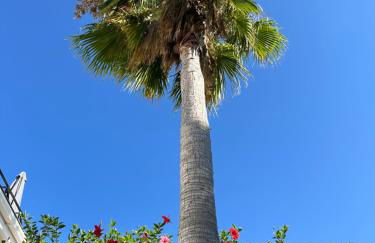 Marbella Golf Garden Apartments - Photo 44