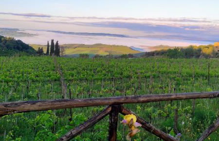 Castel Brunello - Foto 10