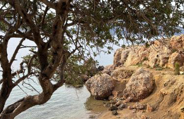 The traditional house-Skalia,kalymnos - Foto 30