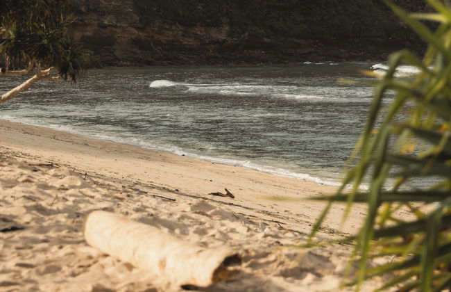 Tabitha Tunak Resort - Foto 42