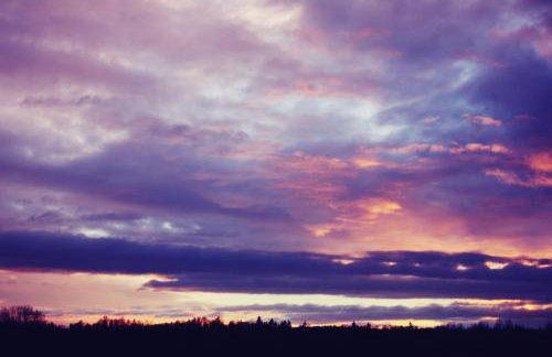 Pod Modrzewiem - Foto 41