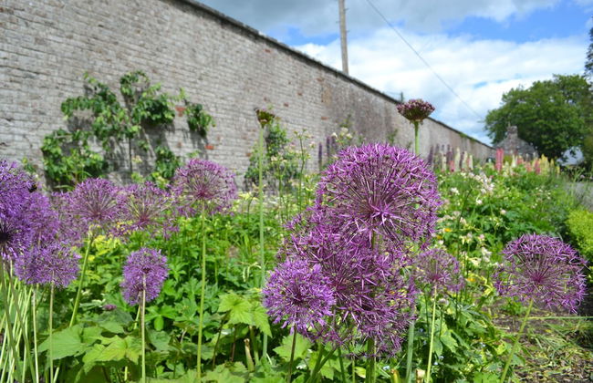 Virginia Park Lodge - Foto 43