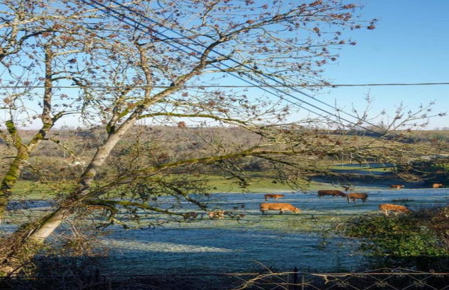 Sunflower Valley Villa, Leobard - Foto 34