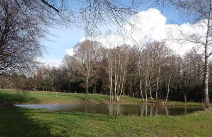 Gîte Vergnelibert - Foto 26