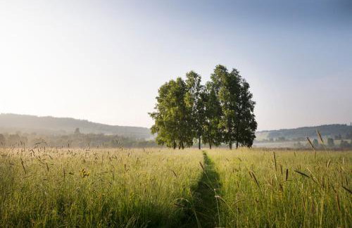 Butikowe apartamenty w Sudetach - TRZY MORZA - pod górą Trójmorski Wierch - Foto 46