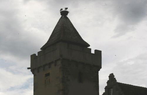 Gite duplex du vignoble Alsace - Foto 26