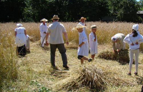 Zagroda Chłopska - Foto 13