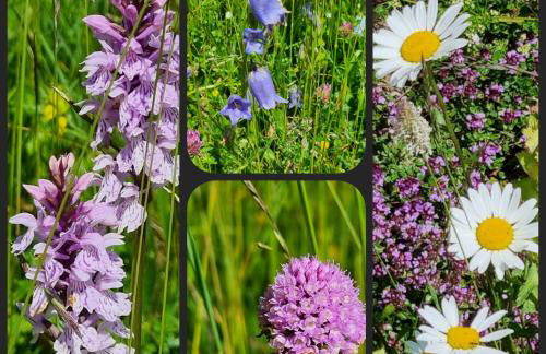 Vintage chic -central, wifi, mountain view-BelleVue3 - Photo 37