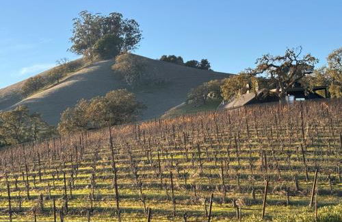 Petaluma Warehouse Lofts Unit D - Foto 32