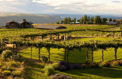 The Starlight Lounge Cave B Ridge Escape and Wine - Foto 19