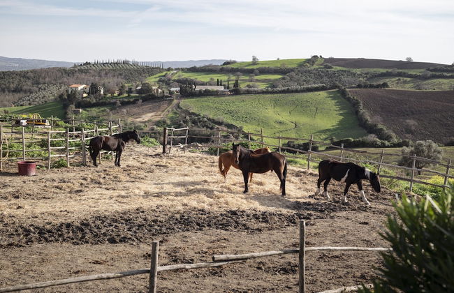 Locanda Fontelupa - Foto 73