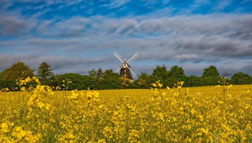 Mühlenblick - Foto 2