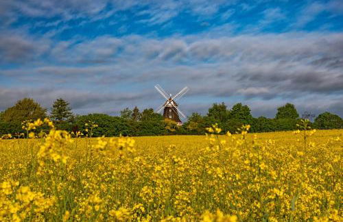 Mühlenblick - Foto 2
