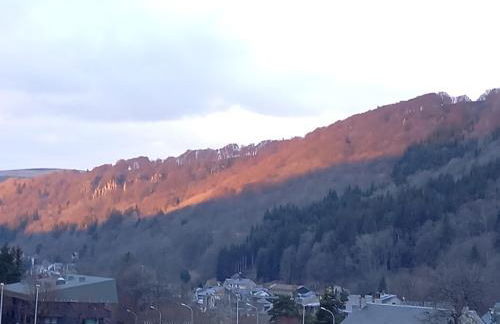 Appartement Mont Dore tout confort, 2 pièces, 4 personnes - Foto 28