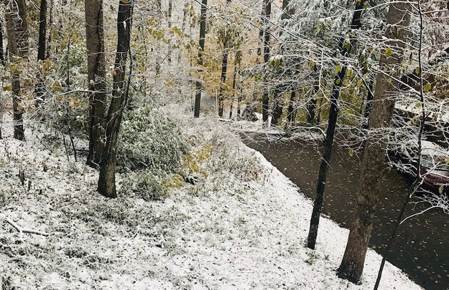 Blessed Nest - Photo 31