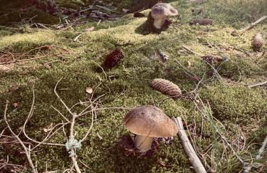 Chalet de charme pied des pistes - Photo 26