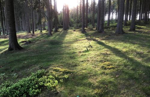 Ferienwohnung Kuhberg - Foto 6