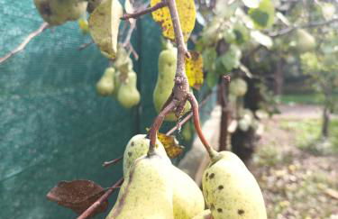 Narniandum Est Locazione Turistica - Foto 69