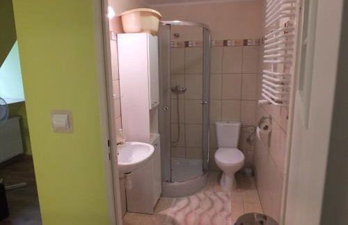 Dwór Klewiny - Foto 21