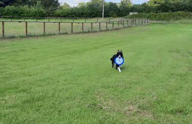 Owl Cabin - Photo 52