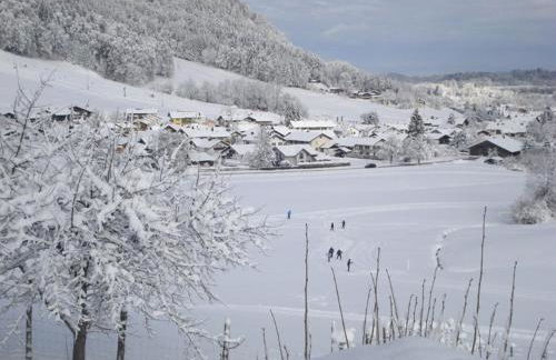 Schneider-Hof inkl. Chiemgaukarte - Foto 18