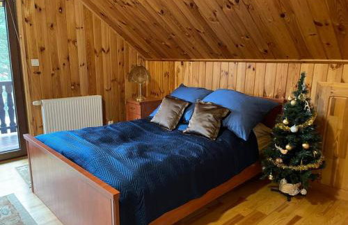 BESKIDIUM - uroczy dom Brenna - Foto 26