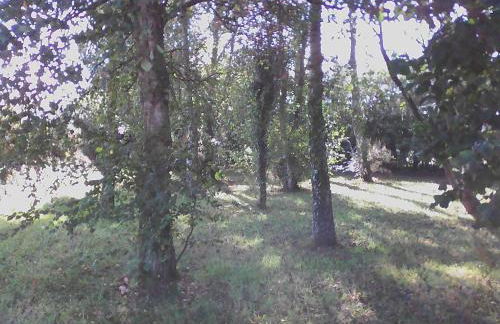 Gîte Lézardrieux - Foto 23