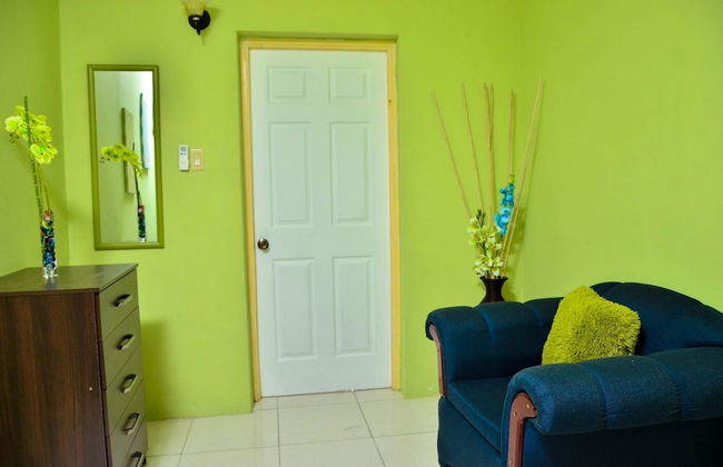 Kingston Sunset Guest Apartment II - Photo 11