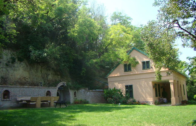 Mikin dol Baranja Country House - Foto 1