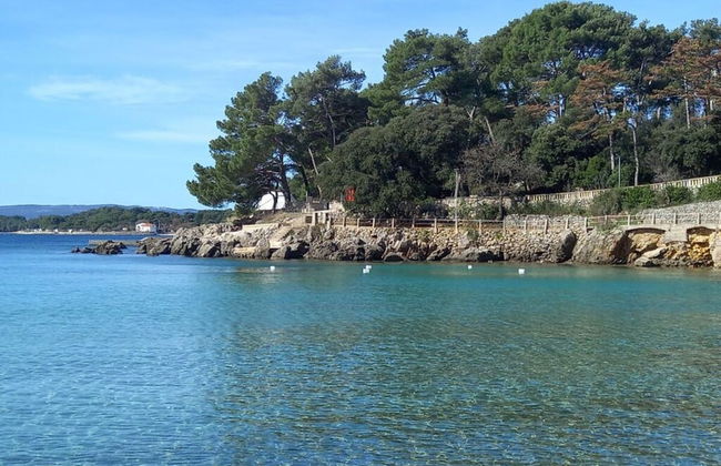 House of Olives Comfortable Holiday Residence - Foto 2