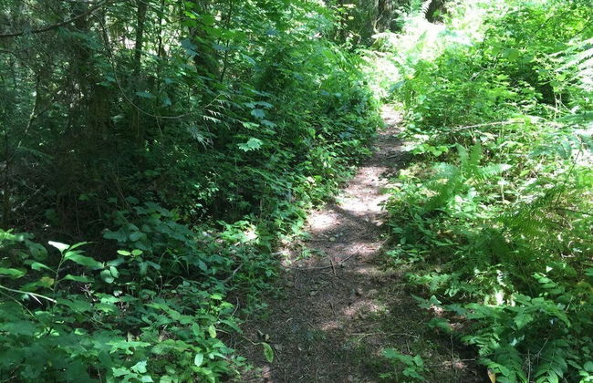 32MBR - BBQ - Pets Ok - Wood Stove - Sleeps 7 - Foto 25