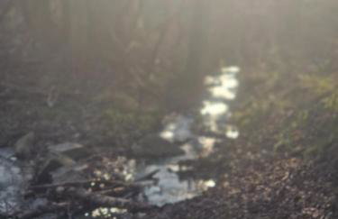 Ferienwohnung Documenta Urbana - Foto 17