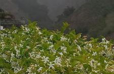 Levadinha - Nature guest house - Foto 32