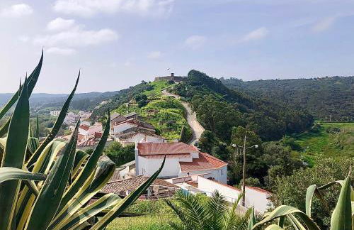 Casa Anneli - relaxing under the olive tree - Foto 37