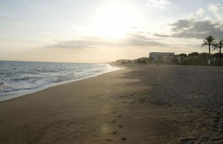 The White Lilies - Photo 20