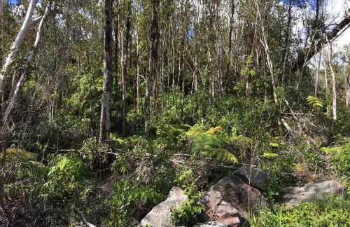 Volcano Home as seen on the Discovery Channel - Foto 22