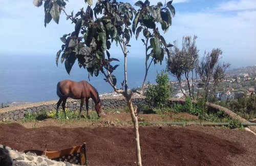 Holiday Home in Tenerife with Private Garden - Foto 8