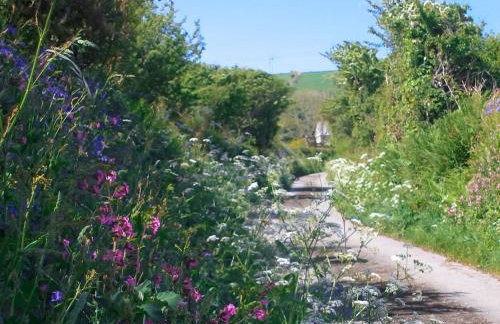 Bee Cottage - Foto 21