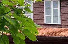 Ferienwohnung Heppenheim- Wohnung "Altstadt" mit Terrasse Das schiefe Haus - Photo 18