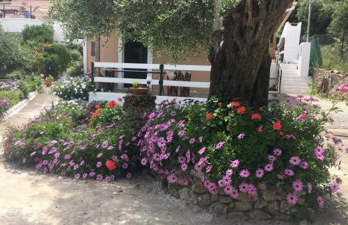 Villa Stephanie - Foto 37