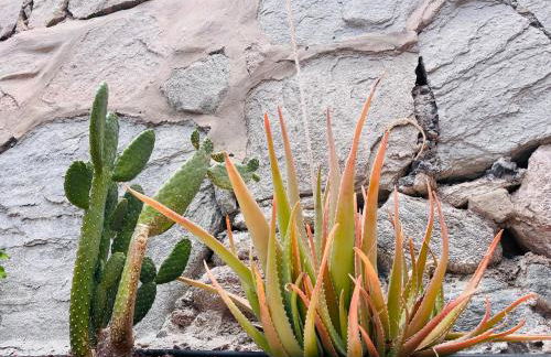 Villa Nautica Puerto Rico by Alquiler de Súeño - Photo 55