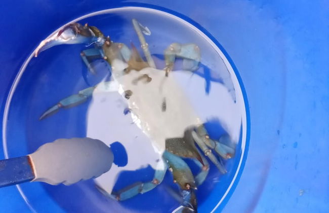 Seawatch Inn at the Landing - Foto 56