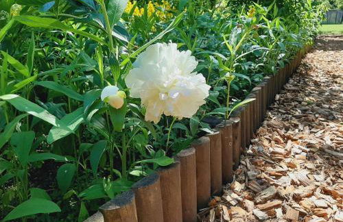 Die Malche Gäste und Tagungshaus 16 - Photo 28