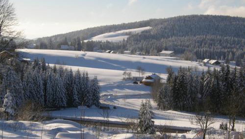 Dreisessel-Chalets im bayerischen Wald - Chalet Plöckenstein - mit Whirlpool-Sauna-Kamin - Foto 4