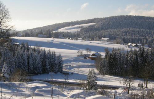 Dreisessel-Chalets im bayerischen Wald - Chalet Plöckenstein - mit Whirlpool-Sauna-Kamin - Foto 4