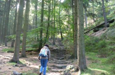 Ferienwohnung Zittauer Gebirge - Foto 40