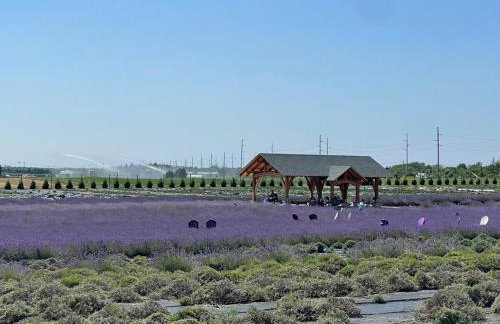 Modern Farmhouse Retreat North Fork Wine Country - Foto 64