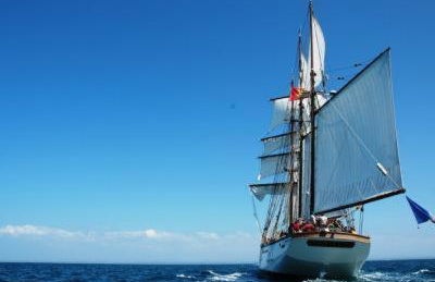 La Tireliere, longère bord de mer avec jardin - Foto 37